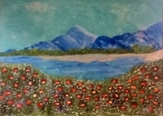 Poppies field